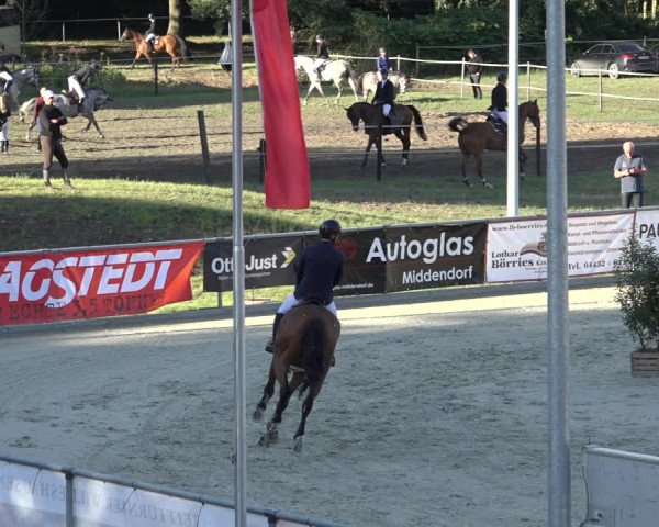 Reitturnier Wildeshausen 2022