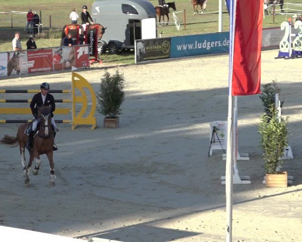 Reitturnier Wildeshausen 2022