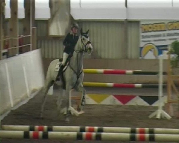 broodmare La Feodora (Holsteiner, 2003, from Lansing)