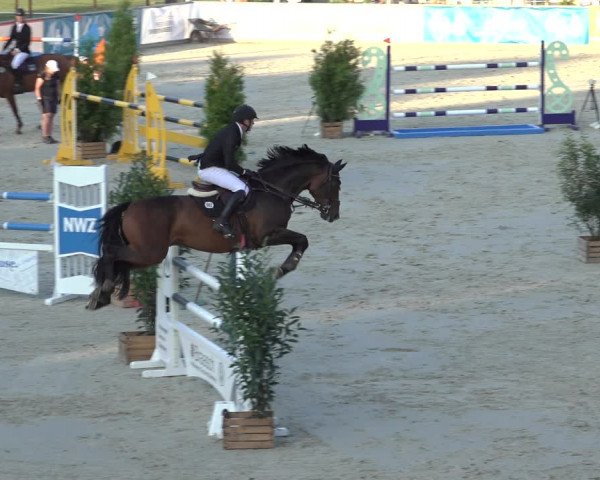 Reitturnier Wildeshausen 2022