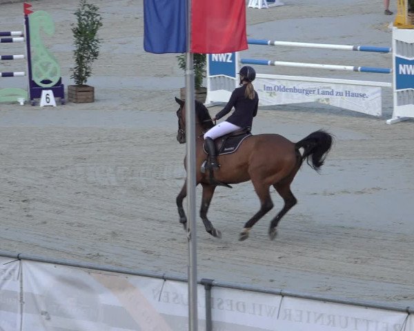 Reitturnier Wildeshausen 2022