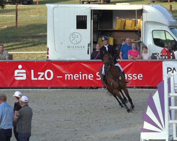 Reitturnier Wildeshausen 2022