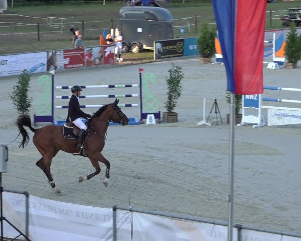 Reitturnier Wildeshausen 2022