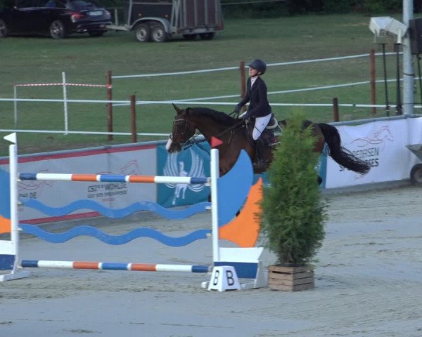 Reitturnier Wildeshausen 2022