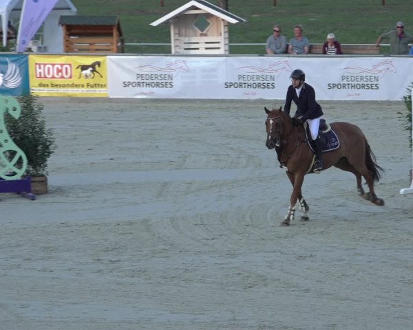 Reitturnier Wildeshausen 2022