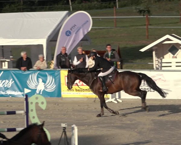 Reitturnier Wildeshausen 2022