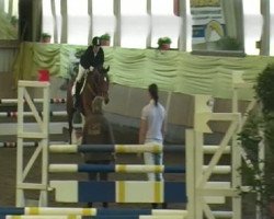 jumper Applejack 5 (Oldenburg, 2006, from Abke 4)