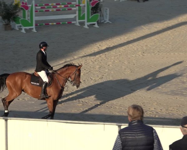 Reitturnier Wildeshausen 2022