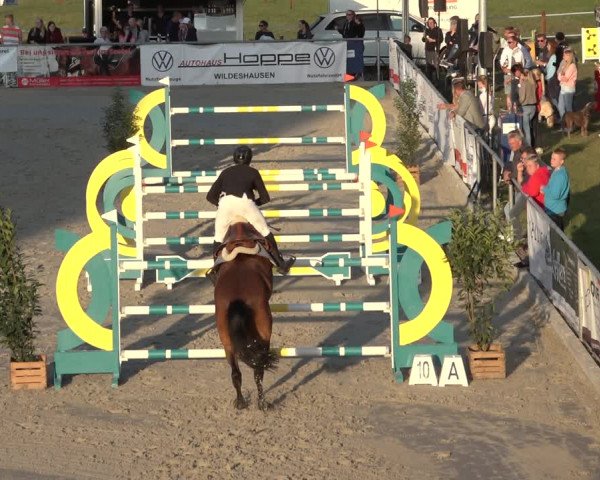 Reitturnier Wildeshausen 2022