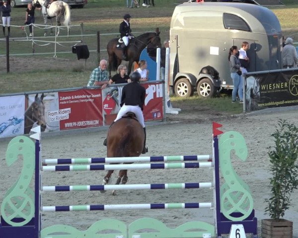 Reitturnier Wildeshausen 2022