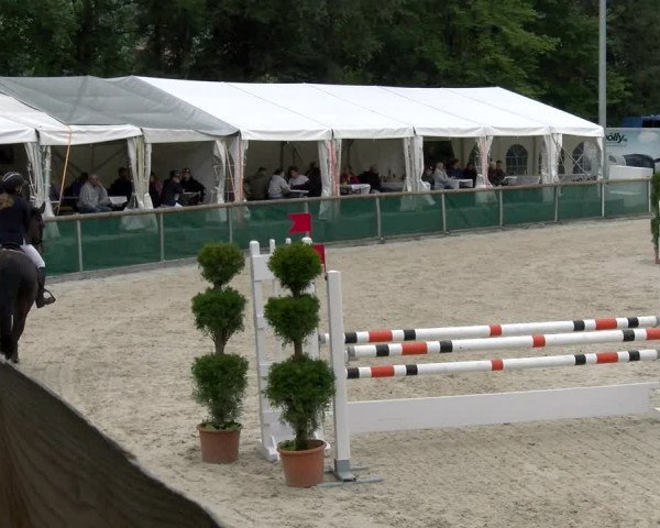 Reitturnier Schüpfheim 2022