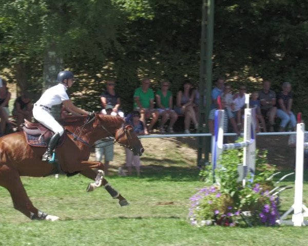 Reitturnier Nussbach 2022