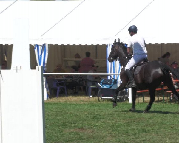 Reitturnier Nussbach 2022