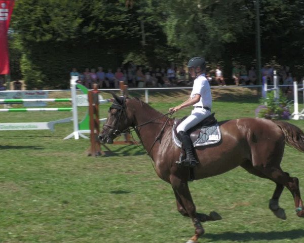 Reitturnier Nussbach 2022