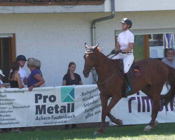 Reitturnier Nussbach 2022