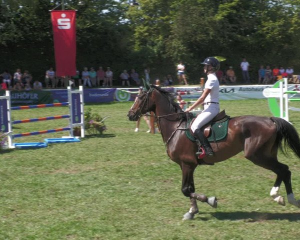 Reitturnier Nussbach 2022