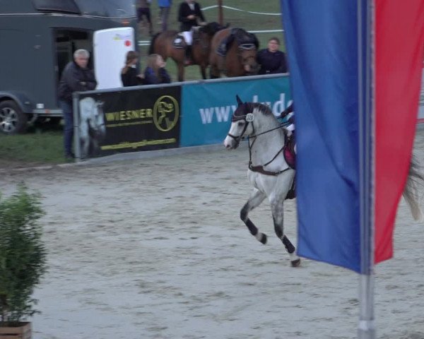 Reitturnier Wildeshausen 2022