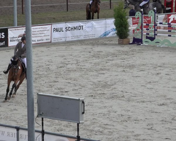 Reitturnier Wildeshausen 2022