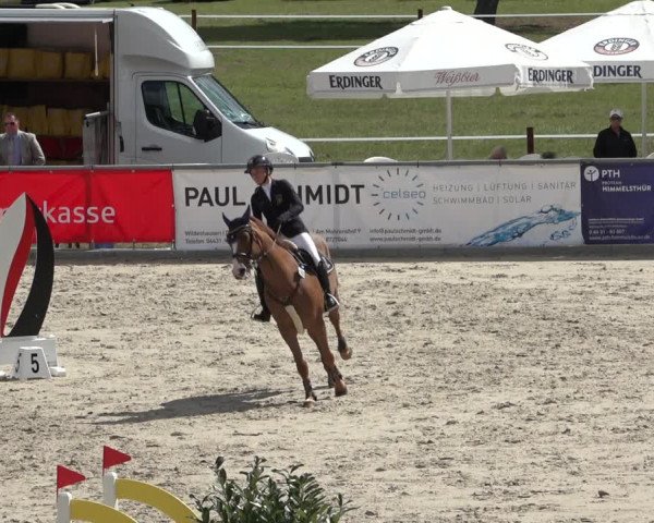 Reitturnier Wildeshausen 2022