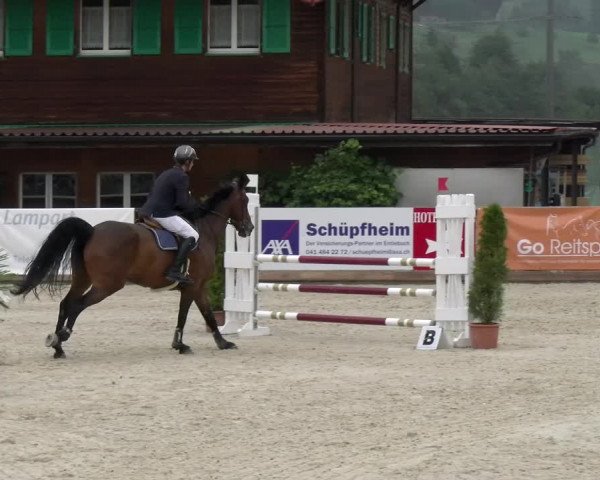 Reitturnier Schüpfheim 2022