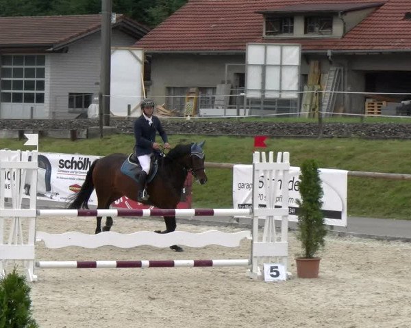 Reitturnier Schüpfheim 2022