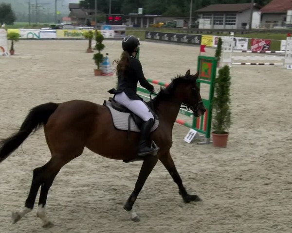 Reitturnier Schüpfheim 2022