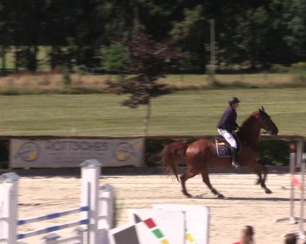 Reitturnier Monschau-Mützenich 2022