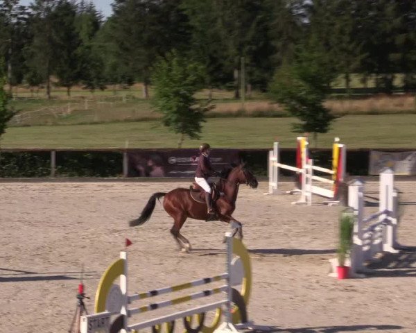 Reitturnier Monschau-Mützenich 2022