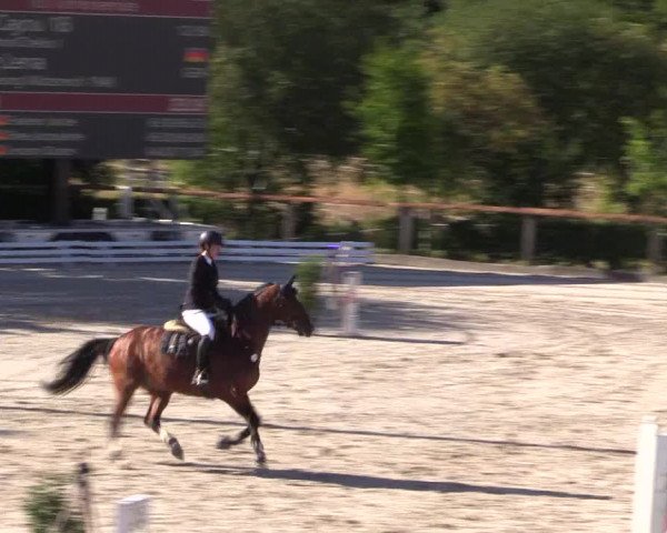 Reitturnier Monschau-Mützenich 2022