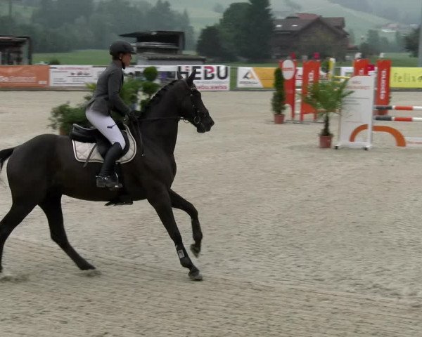 Reitturnier Schüpfheim 2022