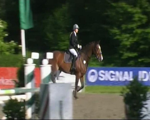 jumper Louis 73 (Holsteiner, 1996, from Latus II)