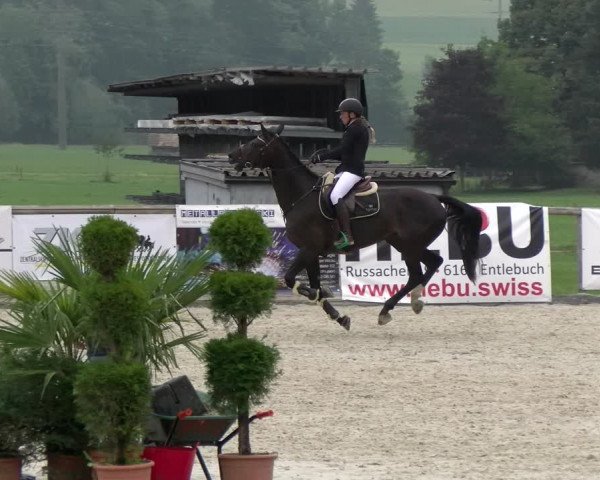 Reitturnier Schüpfheim 2022