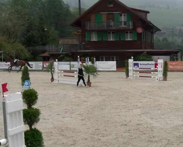 Reitturnier Schüpfheim 2022