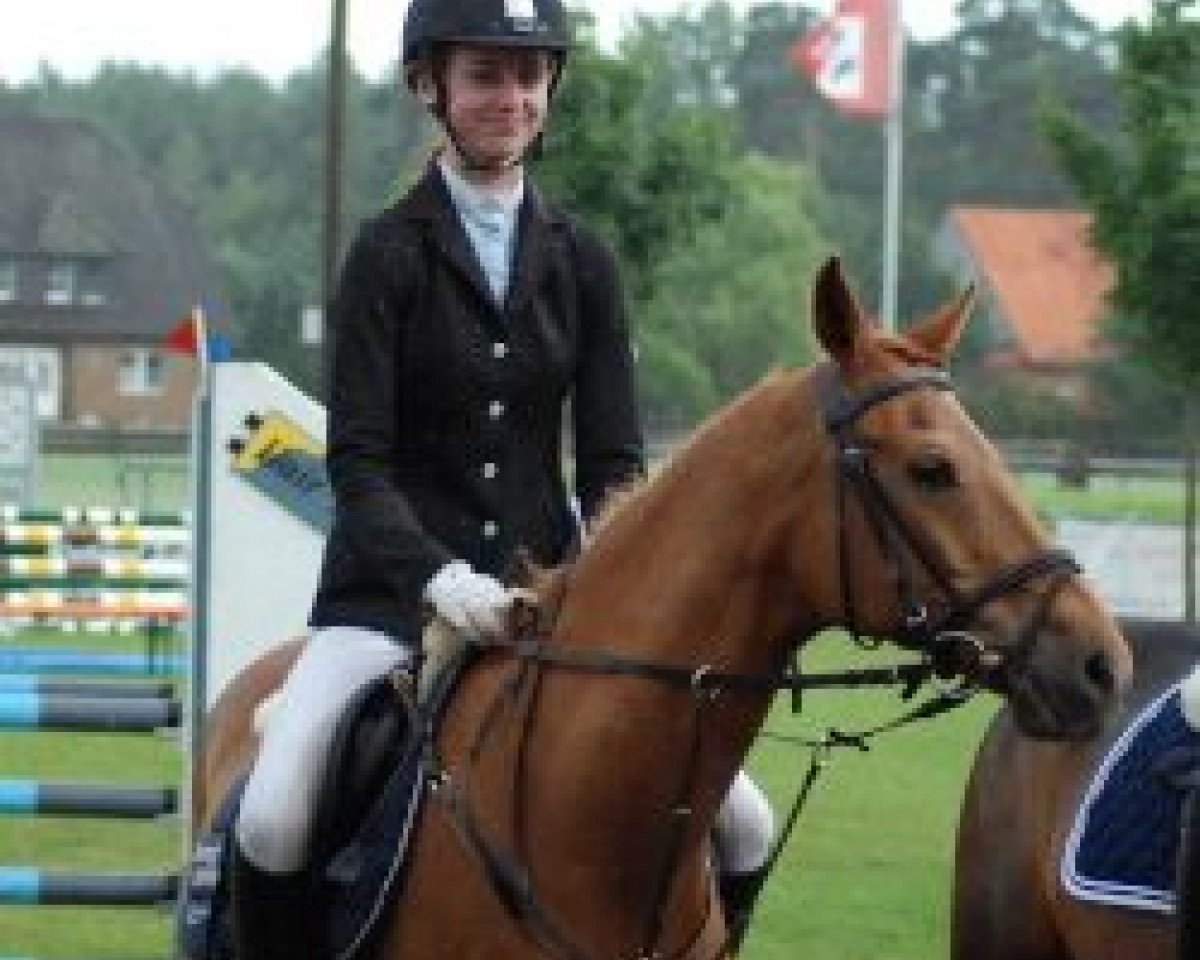 jumper Tobie 3 (Holländisches riding ponies, 1993)