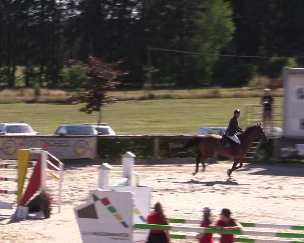 Reitturnier Monschau-Mützenich 2022