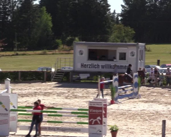 Reitturnier Monschau-Mützenich 2022