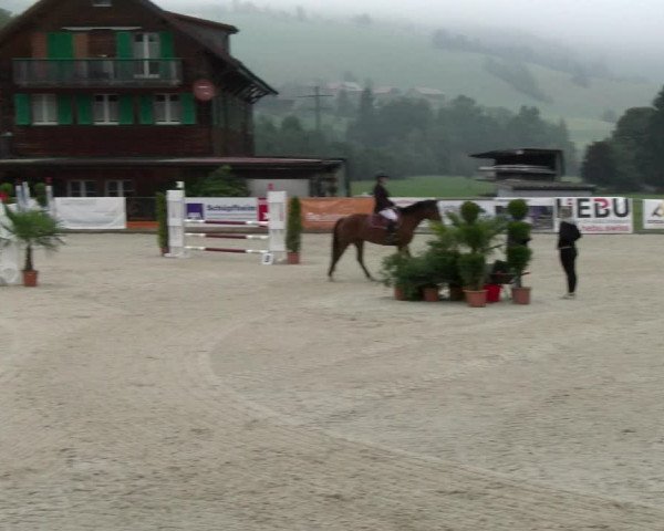 Reitturnier Schüpfheim 2022