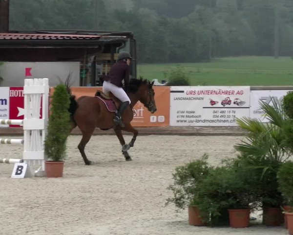 Reitturnier Schüpfheim 2022