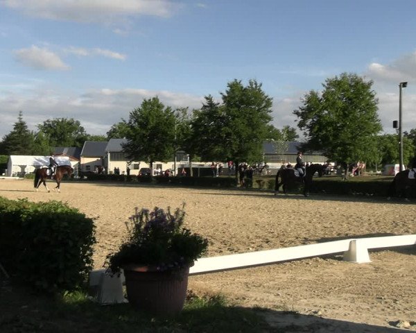 Reitturnier Olfen-Vinnum 2022