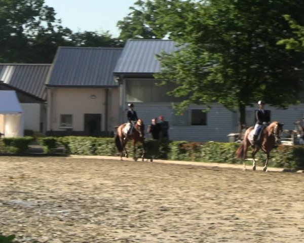 Reitturnier Olfen-Vinnum 2022