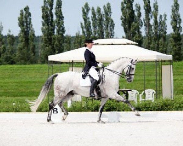 dressage horse Del Piero (Oldenburg, 2000, from De Niro)