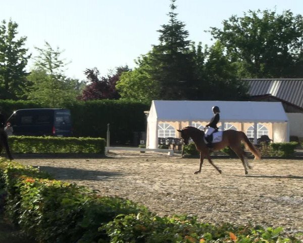 Reitturnier Olfen-Vinnum 2022