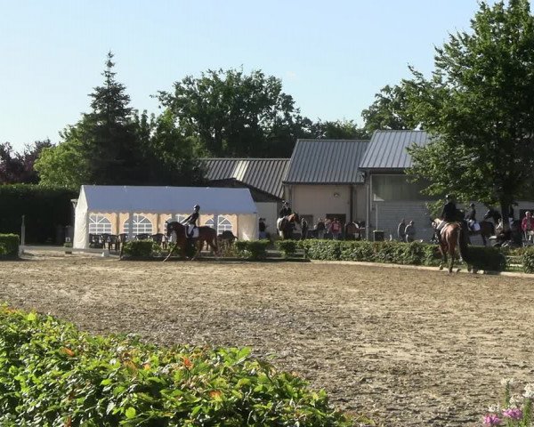 Reitturnier Olfen-Vinnum 2022