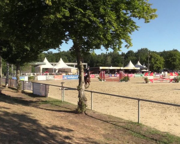 Reitturnier Olfen-Vinnum 2022
