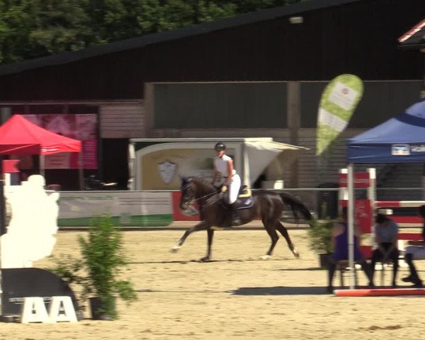 Reitturnier Olfen-Vinnum 2022