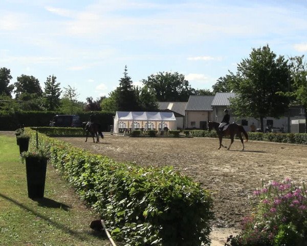 Reitturnier Olfen-Vinnum 2022
