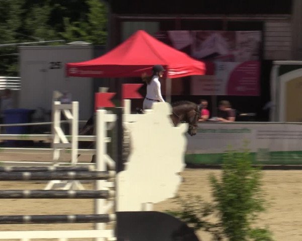 Reitturnier Olfen-Vinnum 2022
