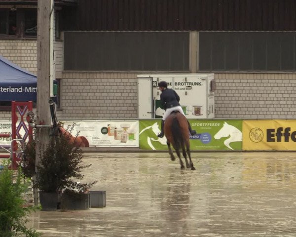 Reitturnier Olfen-Vinnum 2022