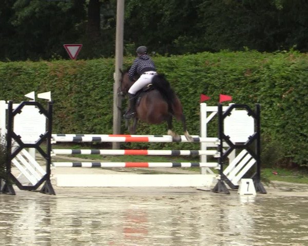 Reitturnier Olfen-Vinnum 2022