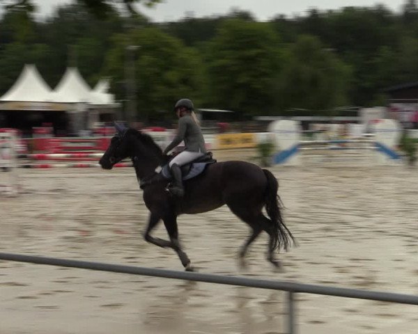 Reitturnier Olfen-Vinnum 2022